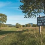 <h1>Médecine douce : une alternative naturelle pour soigner</h1>