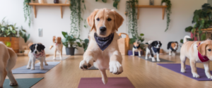 <h1>Découvrez les bienfaits du puppy yoga pour votre chiot</h1>