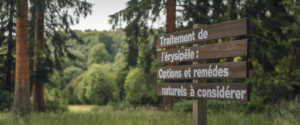 <h1>Traitement de l'érysipèle : options et remèdes naturels à considérer</h1> 1 <h1>Traitement de l'érysipèle : options et remèdes naturels à considérer</h1>