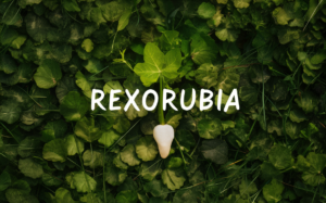 Rexorubia : bienfaits, indications et utilisation de ce complément naturel